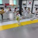 경희대최강태권도 이미지