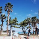 세화스테이 이미지