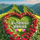 한 송이 꽃을 보며/김동선시인 이미지