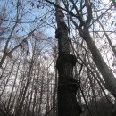 회원동126 이미지