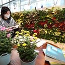 완주군립 콩쥐팥쥐도서관 이미지