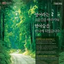 윤선생영어영어숲