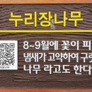 논현중앙근린공원 이미지