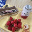 해뜨는어린이집 | 울산 해뜨는 딸기 가족 체험 후기