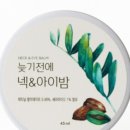 비비전