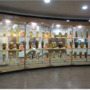 제천국제발효박물관 이미지