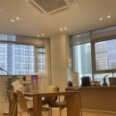 선 피부명가