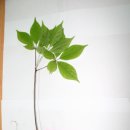 시골 농장 이미지