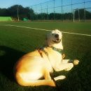 대정문화체육센터 이미지