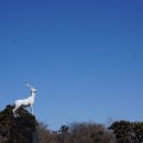 한라산렌트카