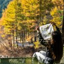 한국산림복지진흥원국립춘천숲체원 이미지