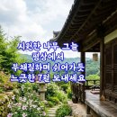 사랑방 네이버블로그