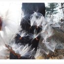 김포국제조각공원 이미지