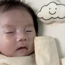 미미국밥 청라점 | 3월의 일상 모음집