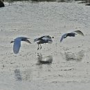 안산어촌민속박물관 이미지