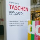 타쉔 팝업스토어 가로수 길 걷다가 우연히 봤어여 이미지