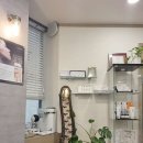 은하스킨앤바디