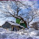 자연풍경 이미지