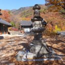 영주 비로사 아미타후불탱화 이미지