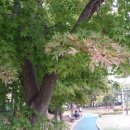 몽마르뜨공원 이미지