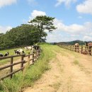 백두목장 이미지