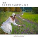 달성노을공원 티스토리