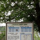 녹색기술단 이미지