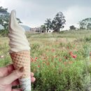 가람목장 이미지