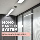 모노시스템monosystem