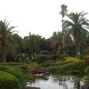 일출랜드식물원 이미지