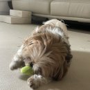 컴피 화명점 이미지