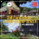 운정길 | 강릉 국가유산 방문자 여권투어 오죽헌 선교장 경포대 스탬프 위치와 야경 후기