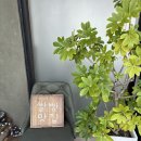 성산환경(주) | 제주 뷰맛집 성산일출봉이 보이는 전망 좋은 쌀빵 카페 &#39;카페코지&#39; LP판이 있어서 귀호강하고 쉬기 좋은곳!