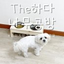 The 하다 이미지