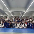 팀타이런트 유도 이미지