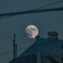 안동권씨회관 이미지