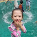 수진2동 물놀이장 이미지