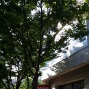 부산은행(범내골) 이미지