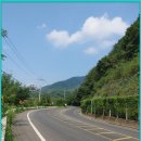 내일1리 이미지