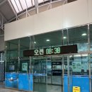 남해실내체육관 | 대전 한밭수영장 자유수영 원정수영 일일수영 주말수영 이용후기와 꿀팁