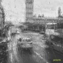 기억-그리움 | 그리움은 빗물 따라 흐르고