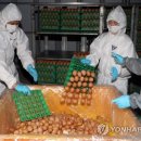 김용태농장 이미지