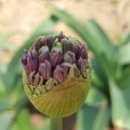 숲속해바라기유치원 이미지