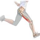 에이앤프리햅 이미지