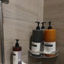 비벨라핏 이미지