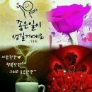 디에떼(영등점) 이미지