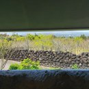 기동농장 이미지