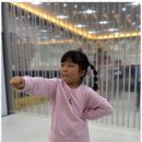 경희대 퍼스트 태권도 이미지