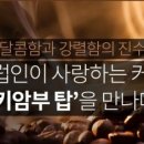 커피야놀자