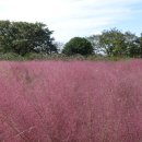 어린이공원(하) 이미지